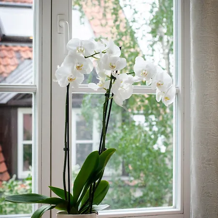 Rycerska - Stone Steps * وارسو