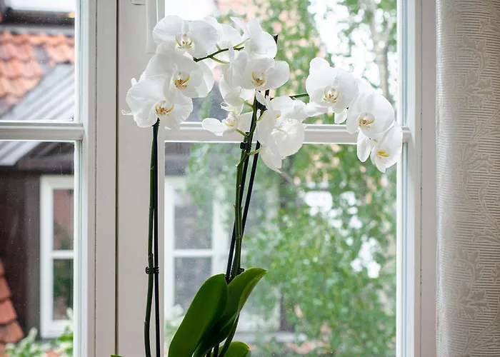 Rycerska - Stone Steps * Varsóvia